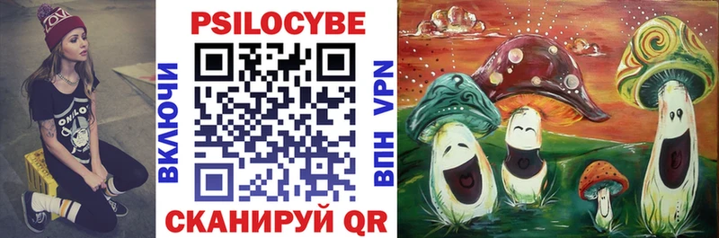 Купить  Высоцк  Псилоцибиновые грибы Psilocybe 